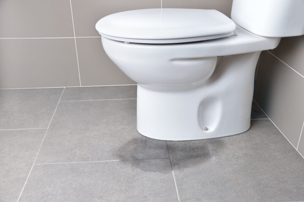 how to tell if your toilet is leaking